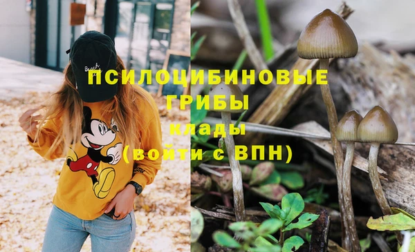 кристаллы Абинск