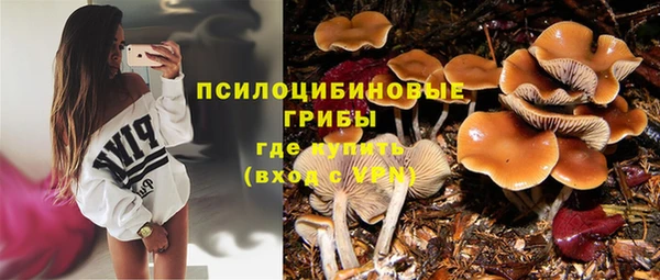 круглые Алзамай