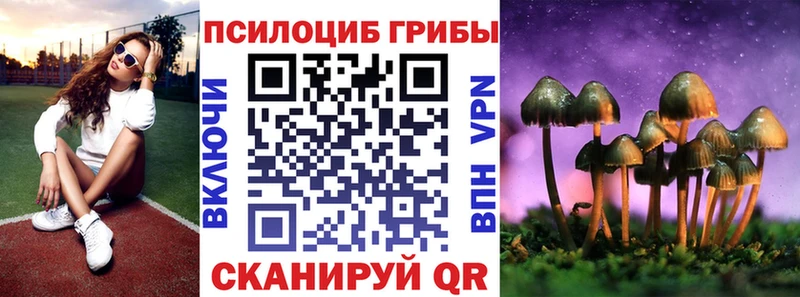 Псилоцибиновые грибы ЛСД  Хилок 